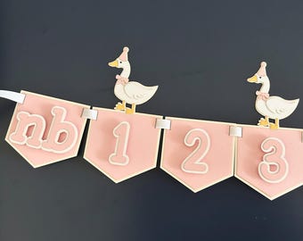 One Silly Goose First Birthday Photo Banner- One Lucky Duck - Silly Goose Theme Decorations - 1st Year Milestone 12 month Photo Display