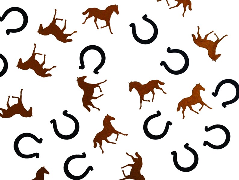 Horse Confetti Horseshoe Confetti Horseback Riding Theme Etsy