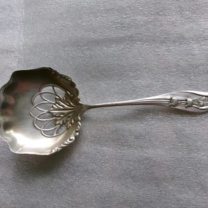 Whiting Lily - Etsy