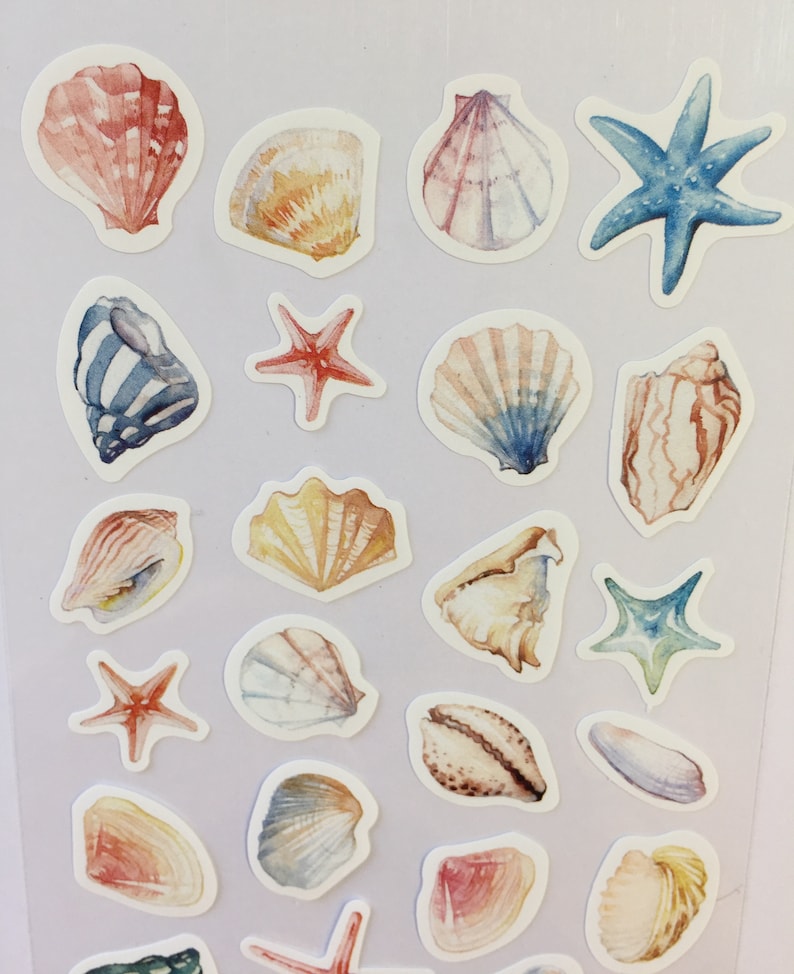 Shells Sticker Sheet 1 Sheet Seashell Seashells Conch | Etsy