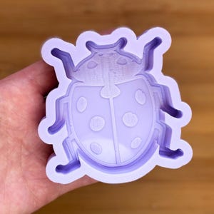 May include: A lavender ladybug-shaped mold with a detailed design. The mold features a layered construction, with the ladybug's body, head, and legs clearly defined. The ladybug has six spots on its back. The mold is held in a hand.