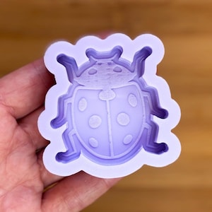 May include: A light purple ladybug-shaped mold with a scalloped edge. The ladybug design features a segmented body with six spots and detailed antennae. The mold is held in a hand against a blurred wooden background.