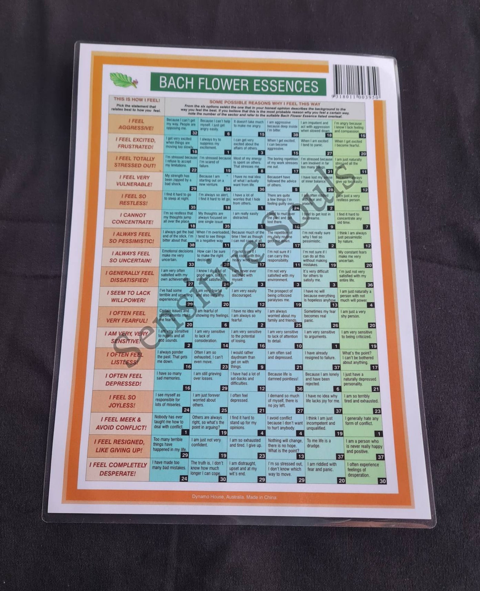 Bach Flower Essences information chart Etsy