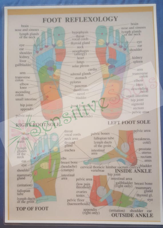 Foot Reflexology And Oil Usage Chart