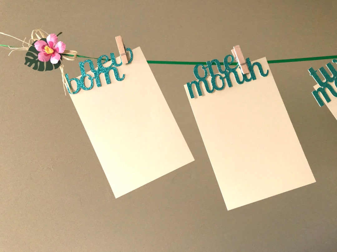 1 12 monate girlande