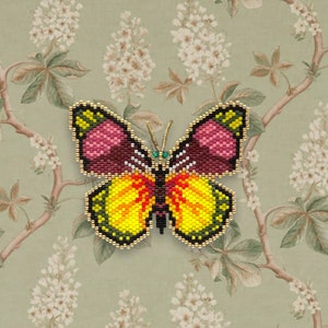 Batesia butterfly pattern