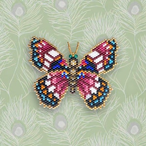 Patrón de mariposa Almirante blanco