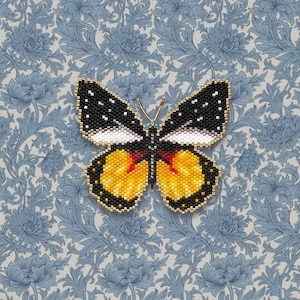Prioneris butterfly pattern