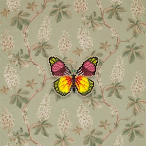 Batesia butterfly pattern