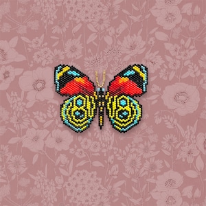 Callicore butterfly pattern