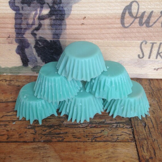 Sea mist wax melts soy wax melts sea mist wax tarts wax Etsy