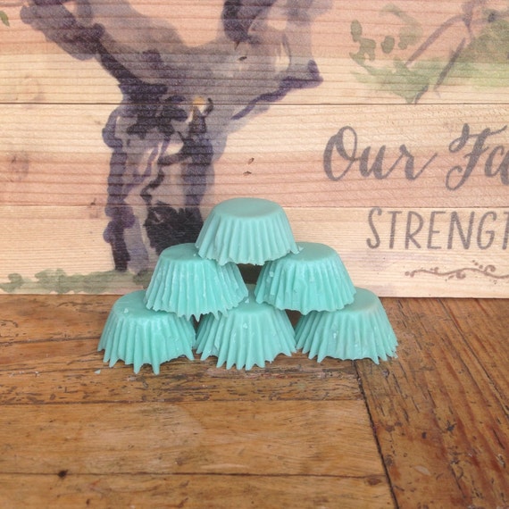 Sea mist wax melts soy wax melts sea mist wax tarts wax Etsy