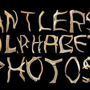 ANTLERS Letter Art Instant DOWNLOAD - 78 Images Full Color - Create Personalized DIY Last Name alphabet photography with 4x6 jpeg photos