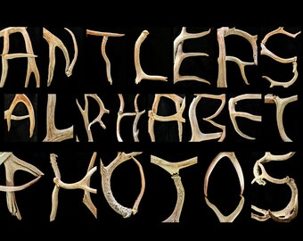 ANTLERS Letter Art Instant DOWNLOAD - 78 Images Full Color - Create Personalized DIY Last Name alphabet photography with 4x6 jpeg photos