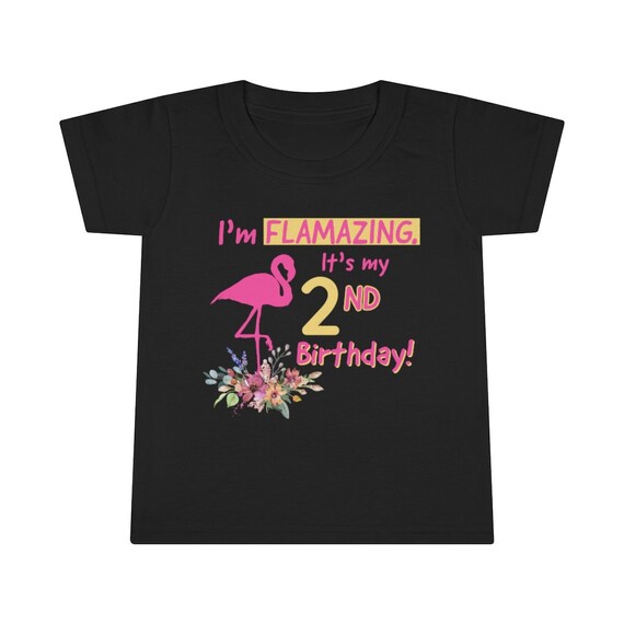 2nd Birthday Toddler T-shirt - Etsy 