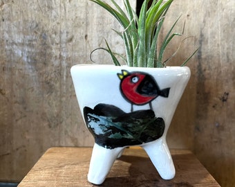 Air plant holder, red bird, tanager