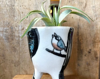 Air plant holder, nuthatch