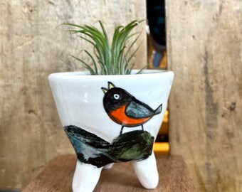 Robin air plant holder