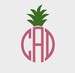 Pineapple Monogram Topper Embroidery file in 3 sizes in Multiple file formats for most machines - INSTANT DOWNLOAD - Item #2012 