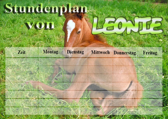 Stundenplan PFERDE personalisiert abwischbar A4 | Etsy