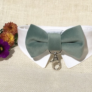 Dusty Seafoam Green Velvet Dog Bow Tie Collar~Dog Ring Bearer~Dog Tuxedo Collar~Velvet Dog Collar~Dog Wedding Attire~Velvet Dog Bow Tie