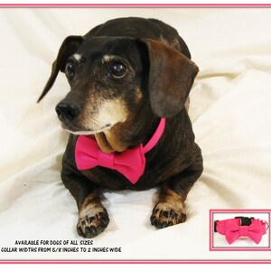 Pink Dog Bow Tie Collar~Hot Pink Satin Bow Tie~Wedding Dog~Wedding Dog Collar~Pink Dog BowTie~Wedding Dog BowTie Collar~Wedding Photo Prop~