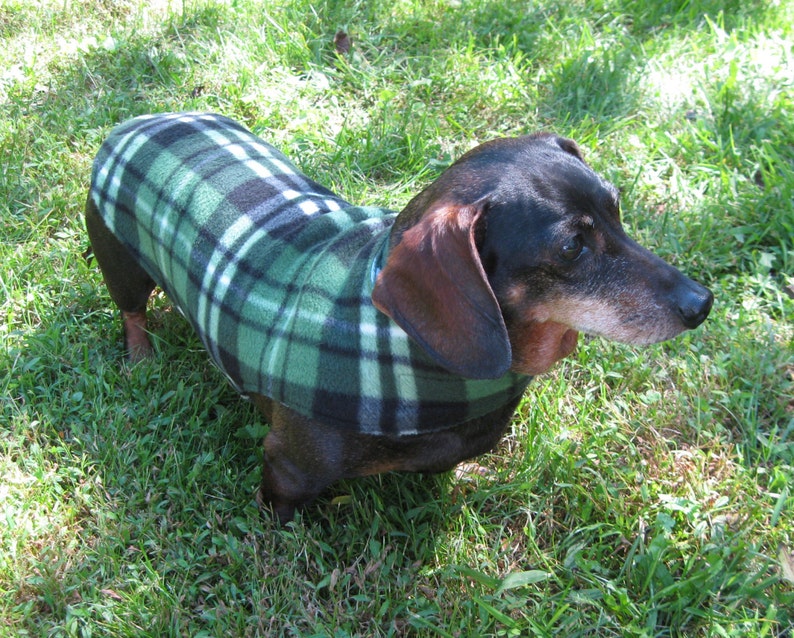 Dachshund JacketReversible Fleece Dog JacketGreen Plaid Etsy