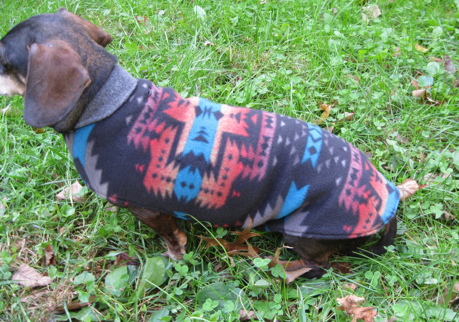 Dachshund Jacketreversible Fleece Dog Jacketsunset Red & Etsy