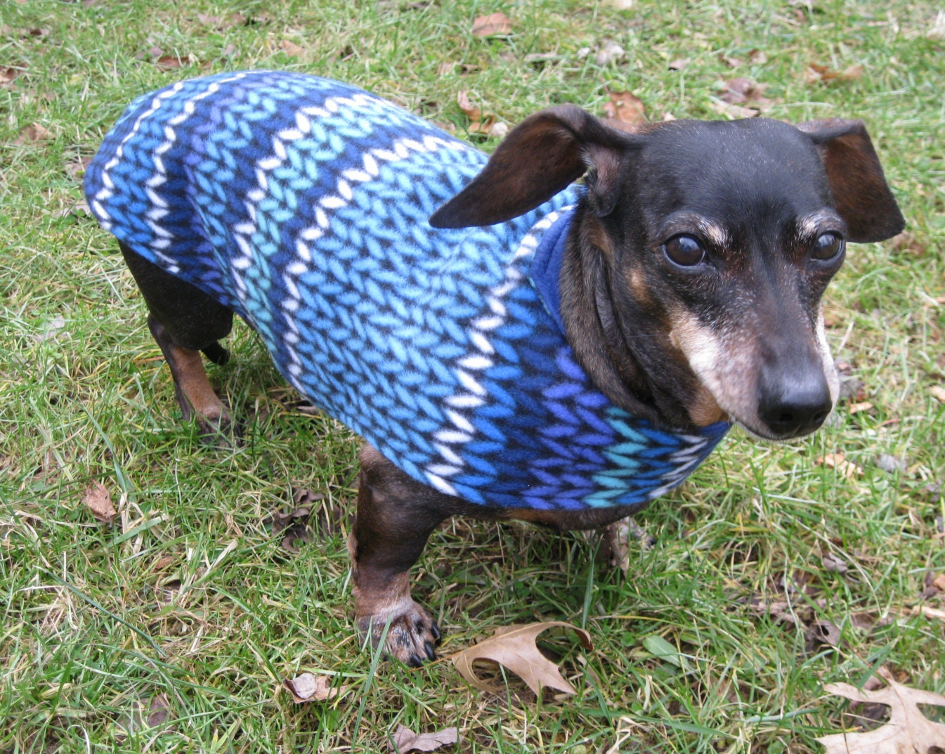 Dachshund Jacketreversible Fleece Dog Jacketblue Knit Fleece Etsy UK