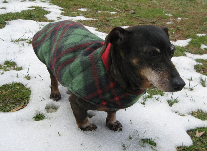 Dachshund JacketReversible Fleece Dog JacketGreen & Red Etsy