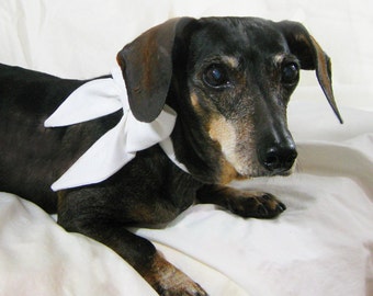 White Linen Bow Collar~Girl Dog Bow Collar~Dog Wedding Collar~White Dog Collar Bow~Wedding Dog Attire~Dog Bow Collar~BowTie Dog