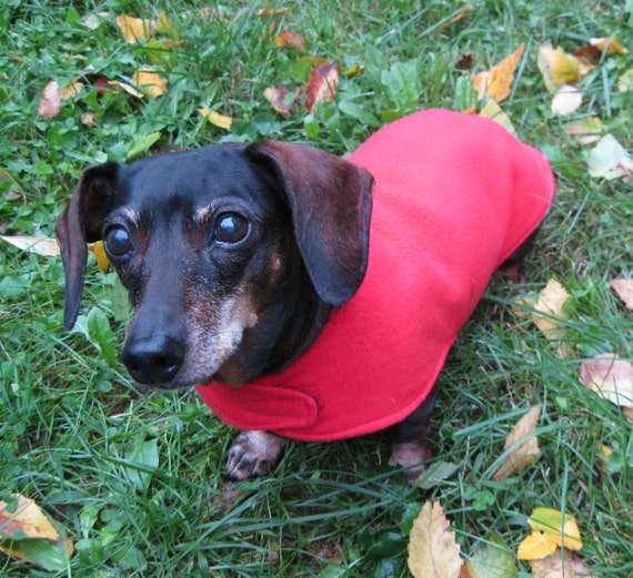 Dachshund fleece jacket sale