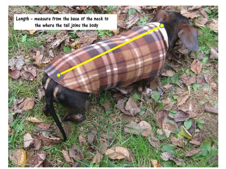 Dachshund Coat~Reversible Fleece Dog Jacket~Black Buffalo Plaid Fleece Dog Coat~Dachshund Clothes~Lumberjack Fleece Dachshund Jacket~Doxie~