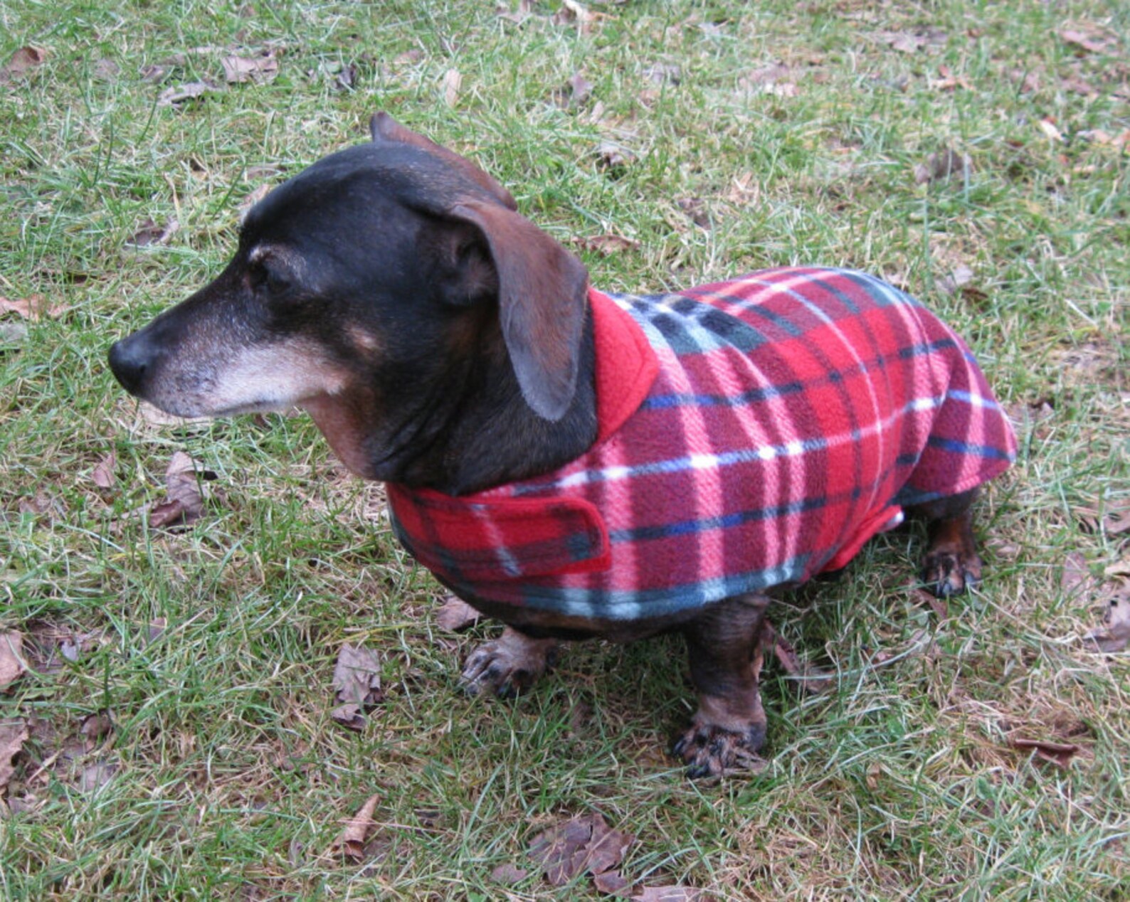 Dachshund Jacketreversible Fleece Dog Jacketred&blue Plaid Etsy