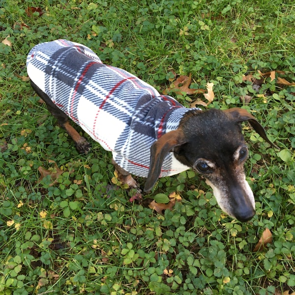 Miniature Dachshund Clothes Etsy