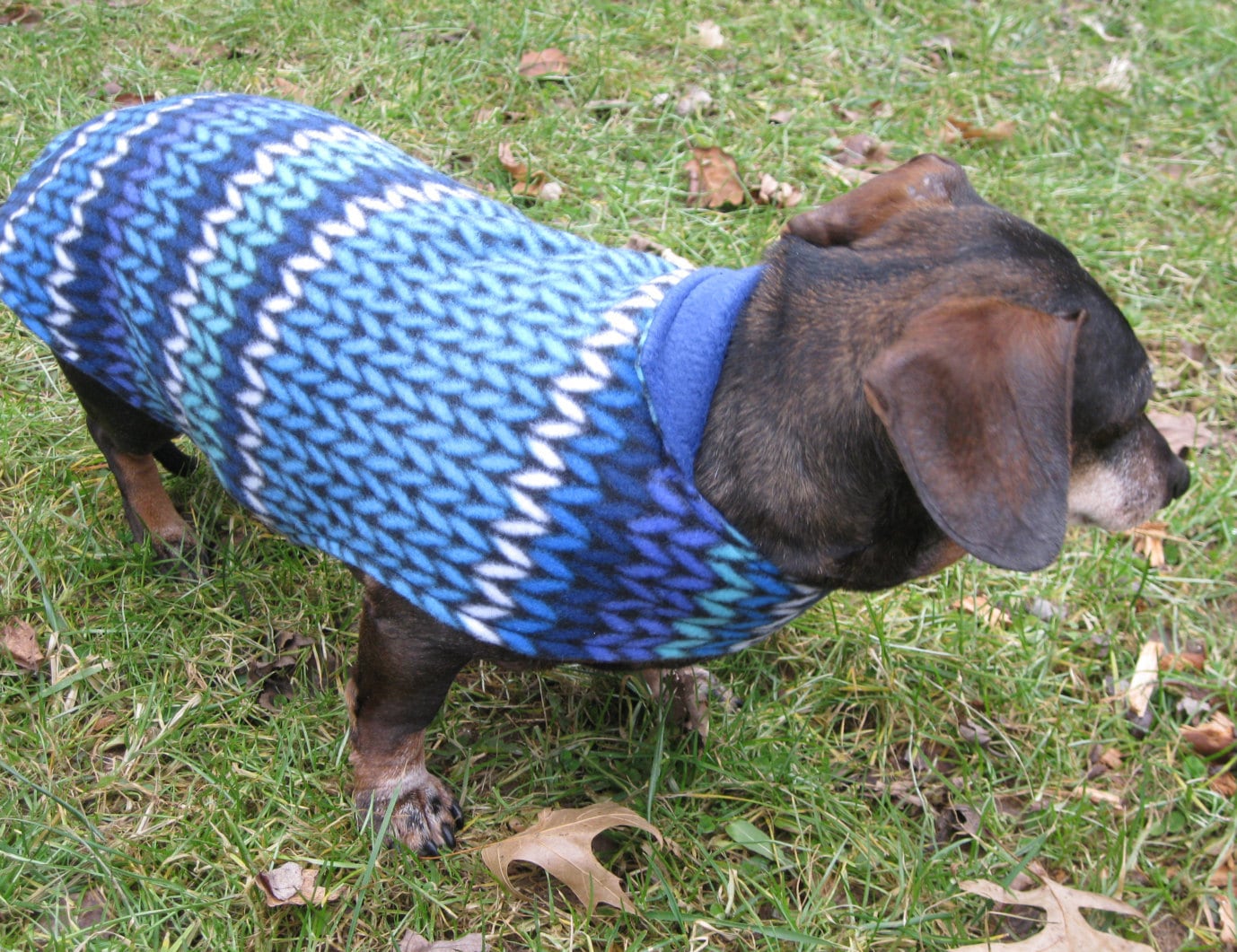 Dachshund Jacketreversible Fleece Dog Jacketblue Knit Fleece Etsy UK