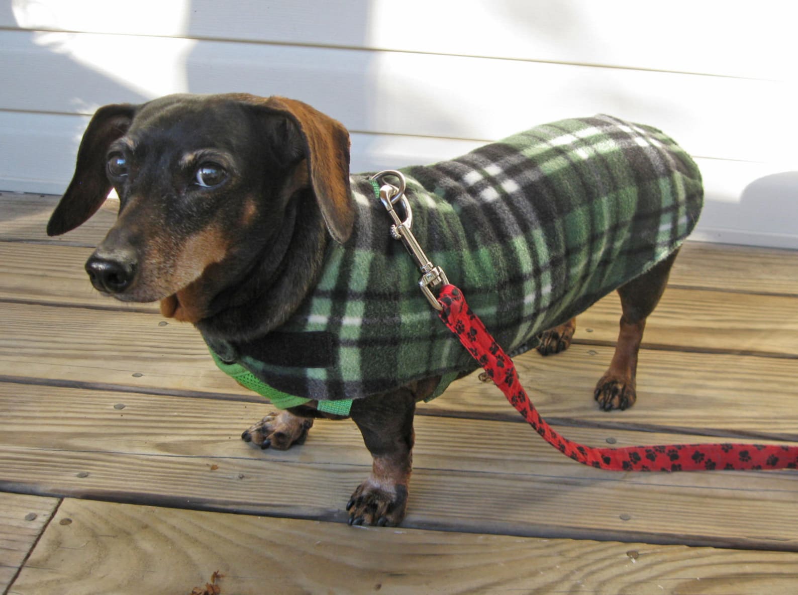 Dachshund JacketReversible Fleece Dog JacketGreen Plaid Etsy