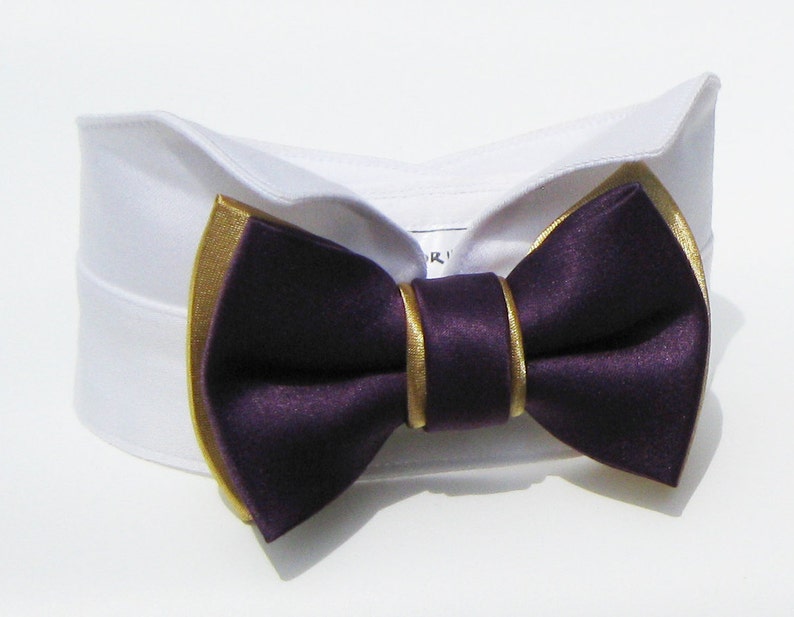 purple dog bow tie