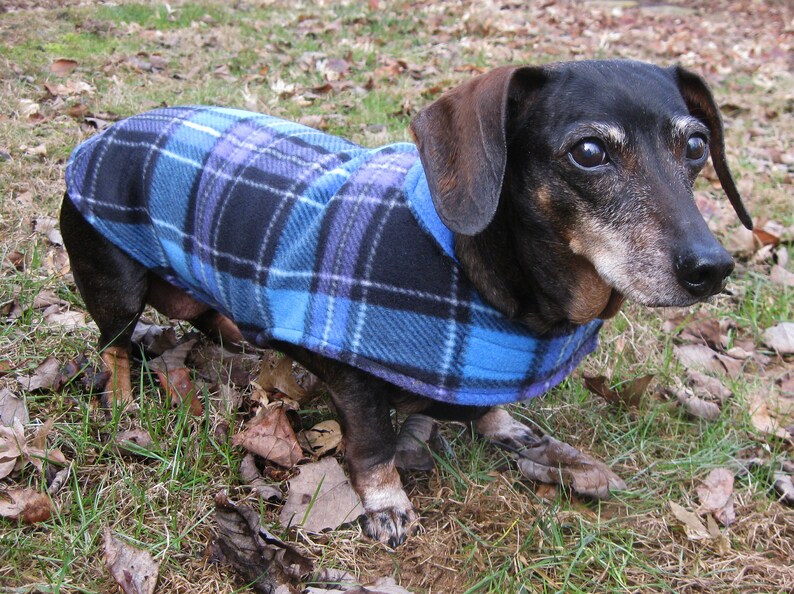 Dachshund CoatReversible Fleece Dachshund JacketBlue and Etsy