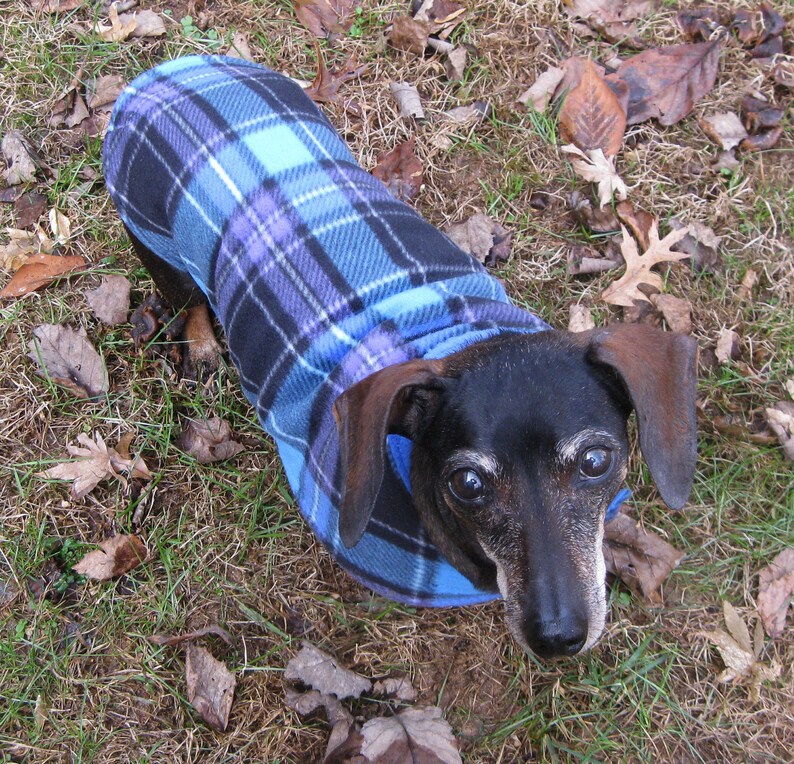 Dachshund CoatReversible Fleece Dachshund JacketBlue and Etsy