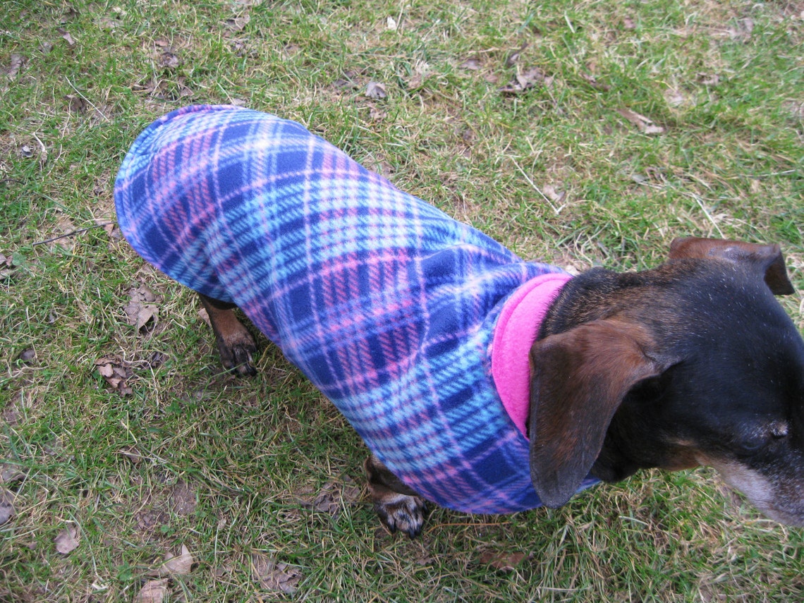 Dachshund JacketReversible Fleece Dog JacketPink&Blue Etsy