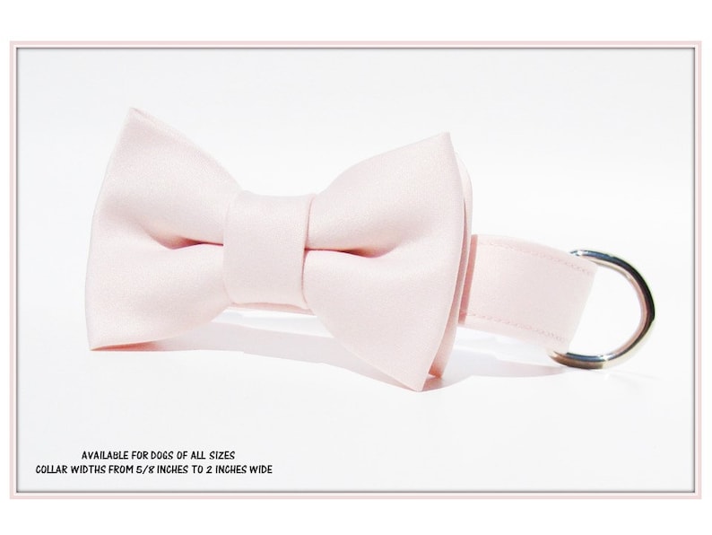 Blush Pink Dog Bow Tie~Dog Ring Bearer Bow Tie~Wedding Dog Collar~Wedding Dog Attire~Dog Bow Tie Collar~Dog Tuxedo~Best Dog~Blush Bow Tie~