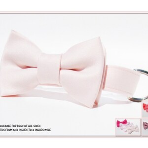 Blush Pink Dog Bow Tie~Dog Ring Bearer Bow Tie~Wedding Dog Collar~Wedding Dog Attire~Dog Bow Tie Collar~Best Pup~Best Dog~Blush Pink Bow Tie