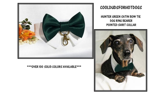Hunter green dog collar cheap