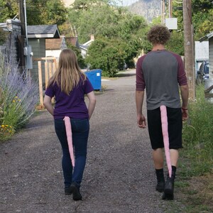 Mouse and Rat Tails