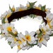 Hawaii Haku Leis, Headband Plumeria Flower. Free Shipping in USA 