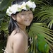 Hawaii Haku Leis, Elastic Headband Flower for Women, Teen and Girls. Free Shipping in USA 