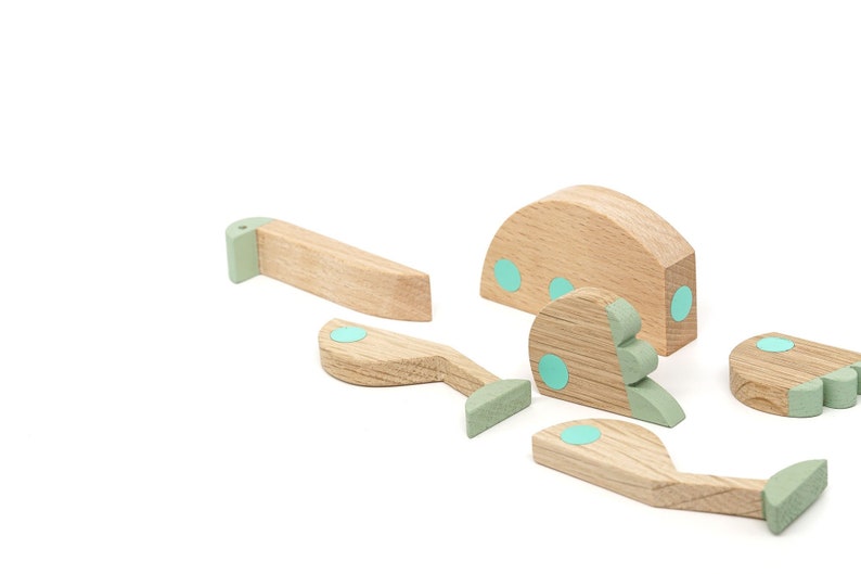 Emu mint color wooden toy gift with magnets image 2