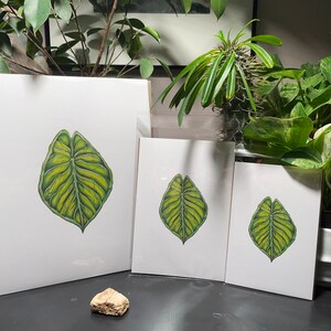 Alocasia Baby Dragonscale Wall Art Plant Print; Plant Leaf; Boho Home Decor; Plant Parent Gifts,Pothos,Botanicals