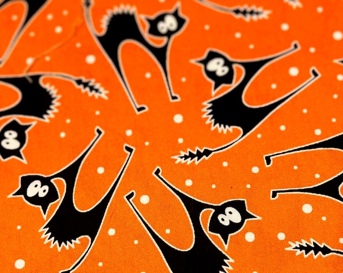 HAL - Scaredy Cats Scrub Cap